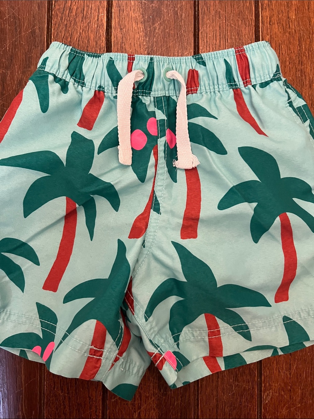 Hanna Andersson Coconut Tree Palm Tree Swim Trunks Size 3T